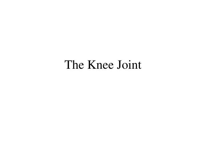 the knee joint n.