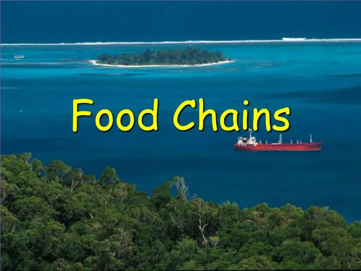 Food Chains PowerPoint Presentation, free download Biology Diagrams