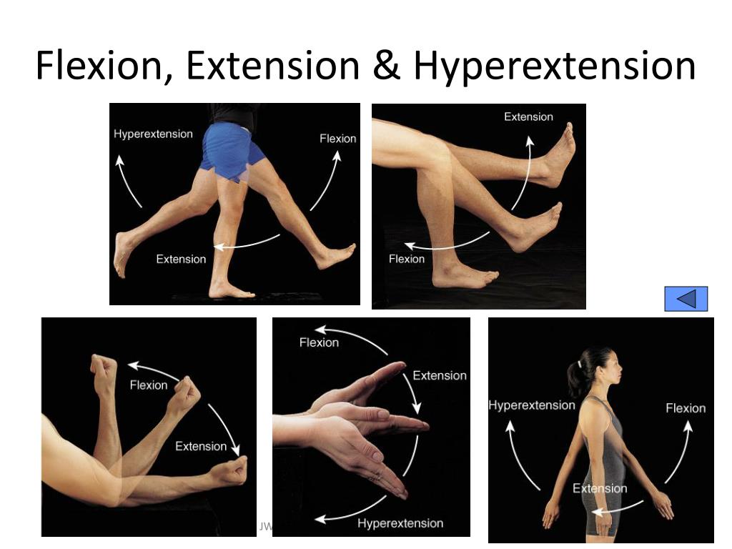 Flexion Vs Extension flexion-vs-extension