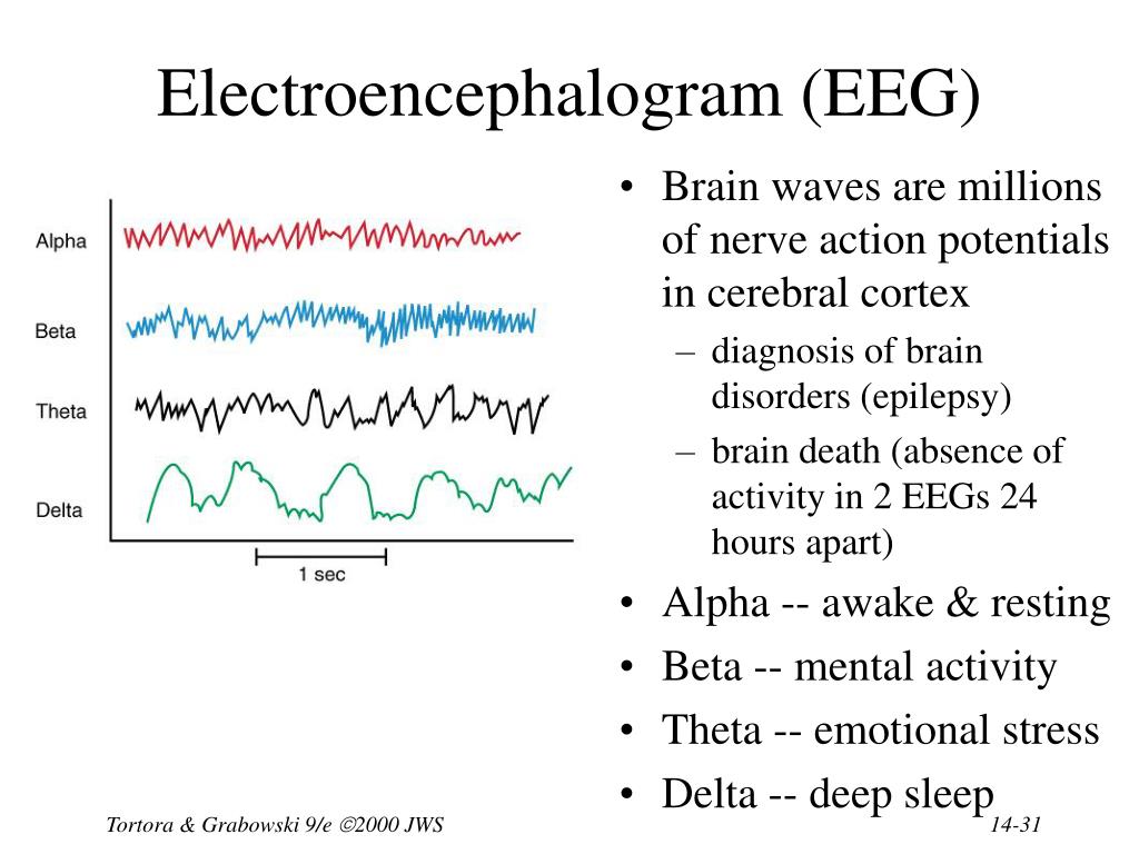 Electroencephalogram Suffix