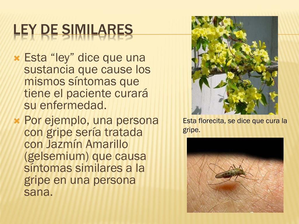 PPT  ¿Cómo funciona la homeopatía? PowerPoint Presentation, free