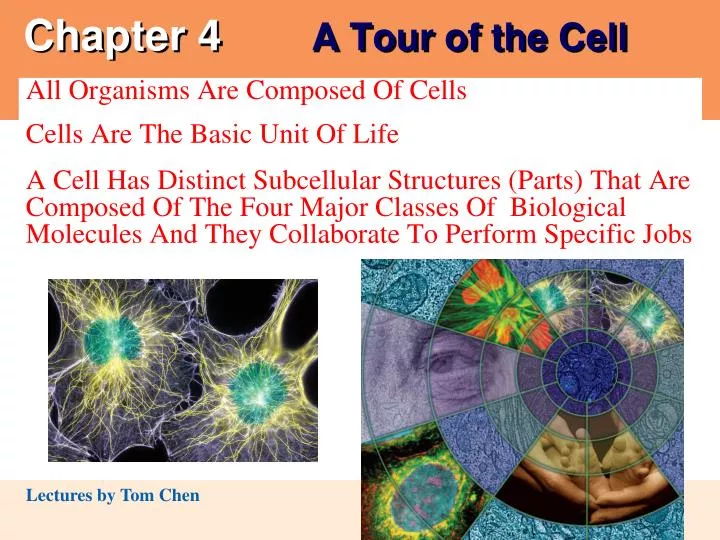 chapter 4 a tour of the cell n.
