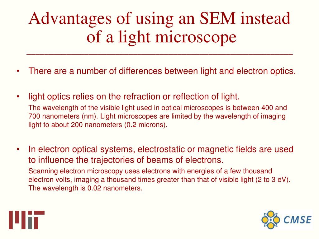 PPT - Introduction to Scanning Electron Microscopy @CMSE PowerPoint  Presentation - ID:406733