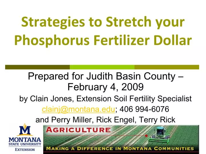 strategies to stretch your phosphorus fertilizer dollar n.