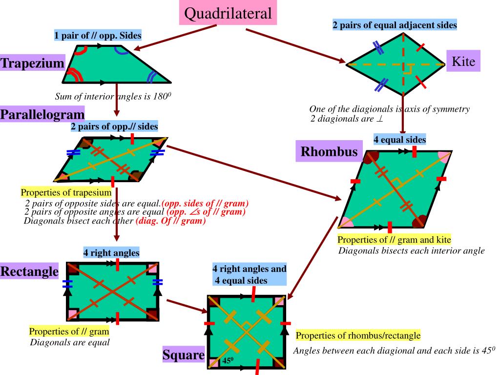 powerpoint presentation on quadrilaterals for class 9