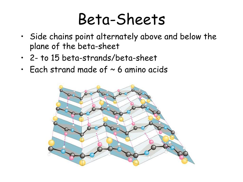 PPT Protein 3 Dimensional Structure And Function PowerPoint PPT Protein 3 Dimensional Structure And Function PowerPoint