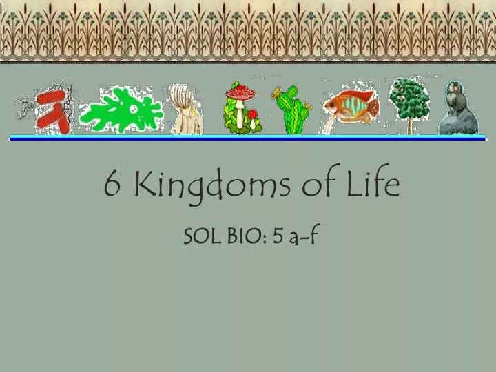 6 kingdoms of life n.