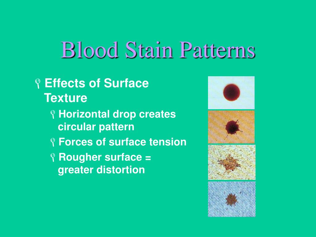 PPT Lecture Forensic Serology PowerPoint Presentation, free download
