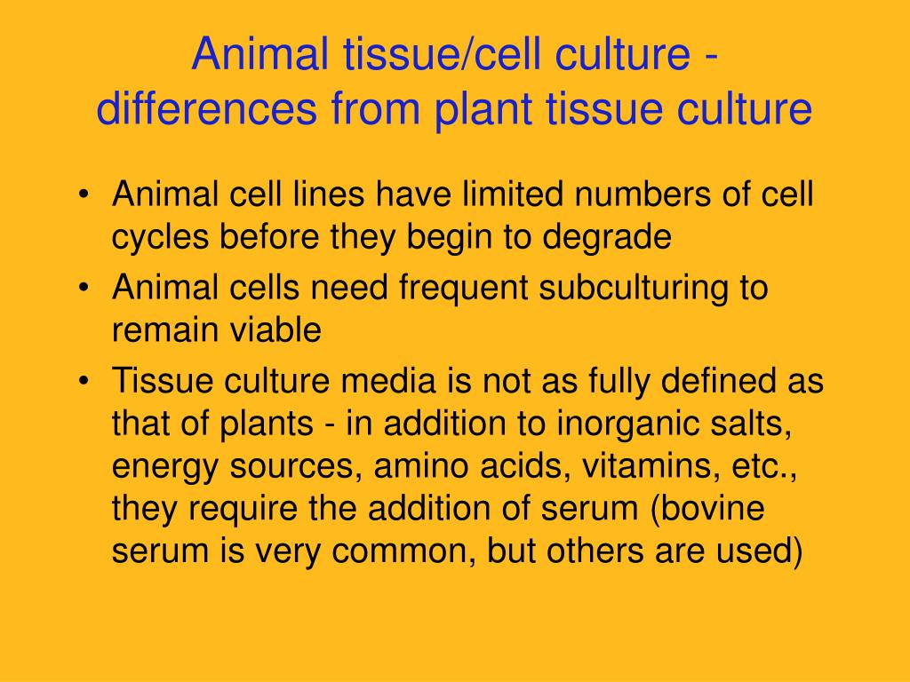 Ppt Lecture 8 Plant Tissue Culture Applications Powerpoint Presentation Id 413018