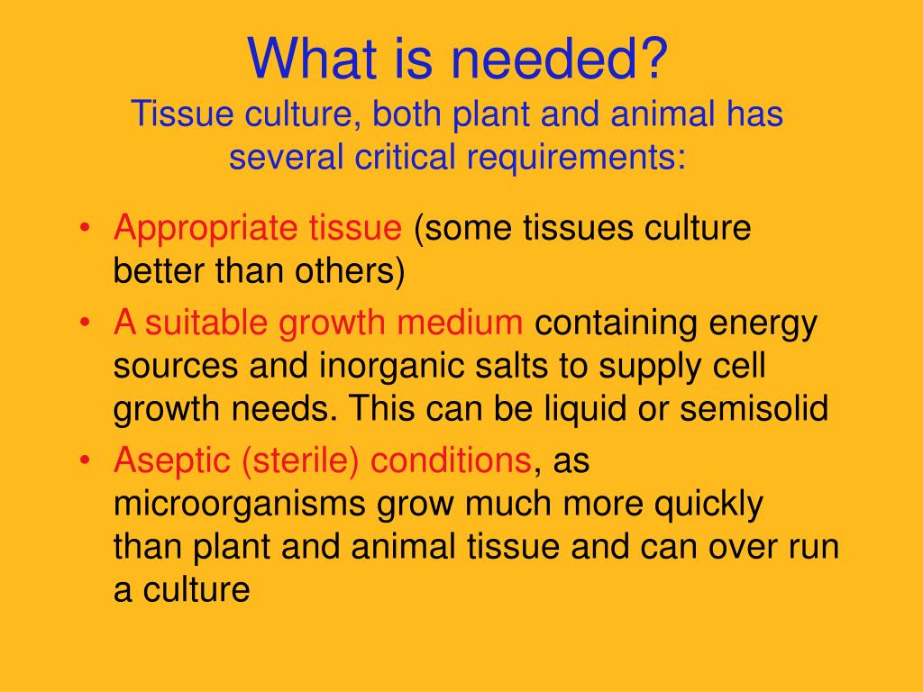 PPT - Lecture 8 Plant Tissue Culture & Applications PowerPoint Presentation  - ID:413018