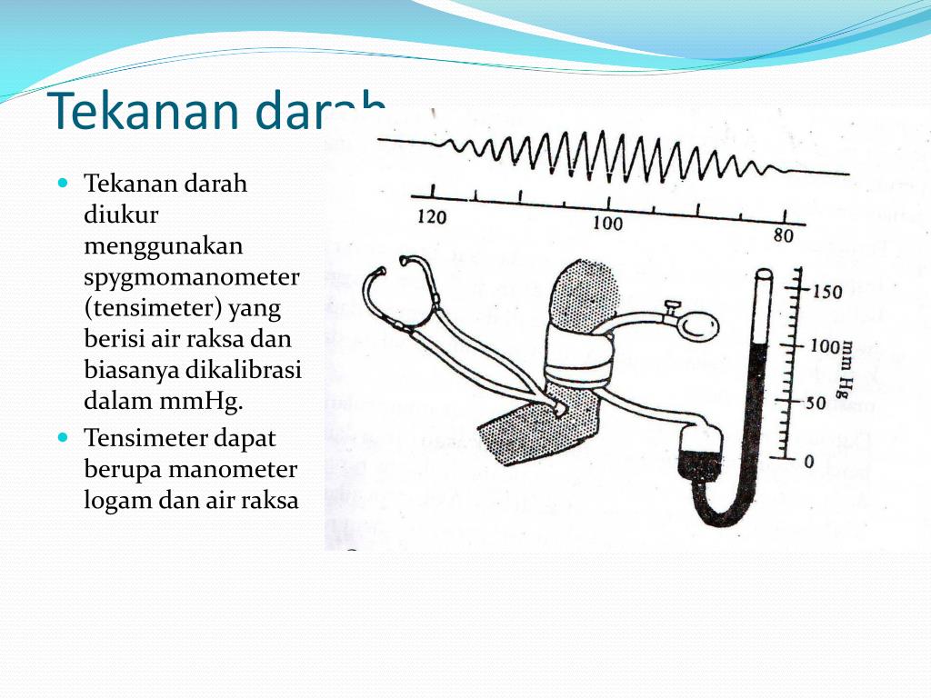 PPT Bio Fluida PowerPoint Presentation, free download ID413107