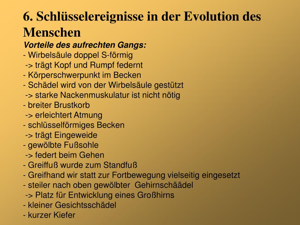 Geschlechtsakt Beim Menschen Powerpoint Geschlechtsakt Beim Menschen Powerpoint