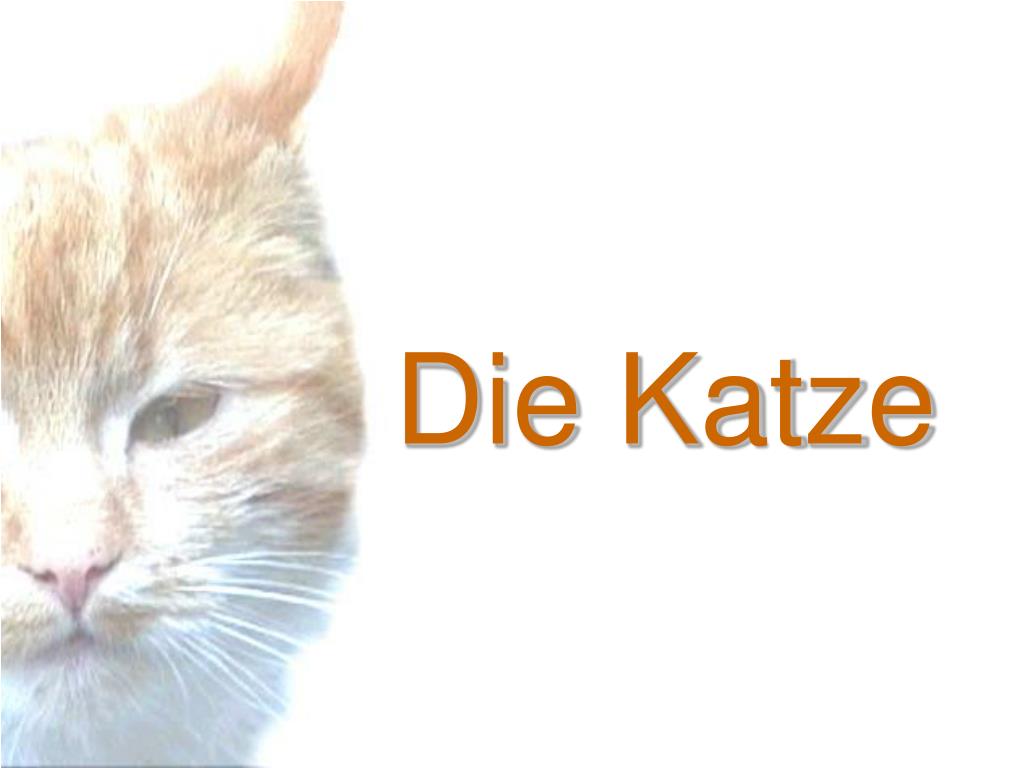 PPT - Die Katze PowerPoint Presentation, free download - ID:414036