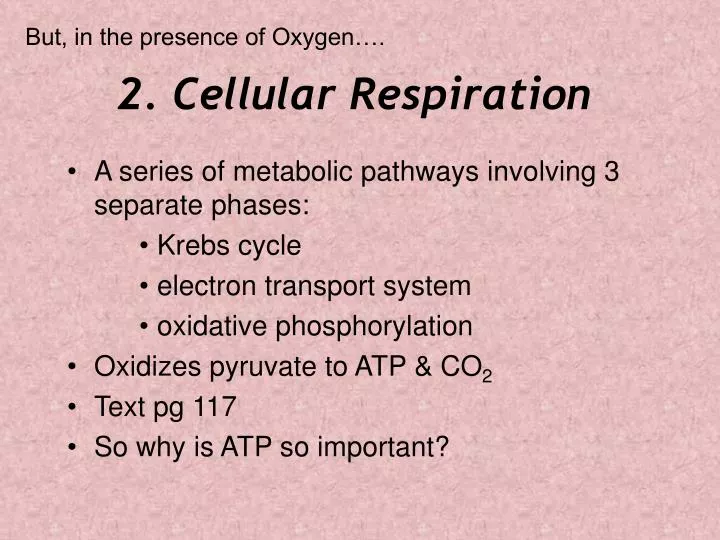 2 cellular respiration n.