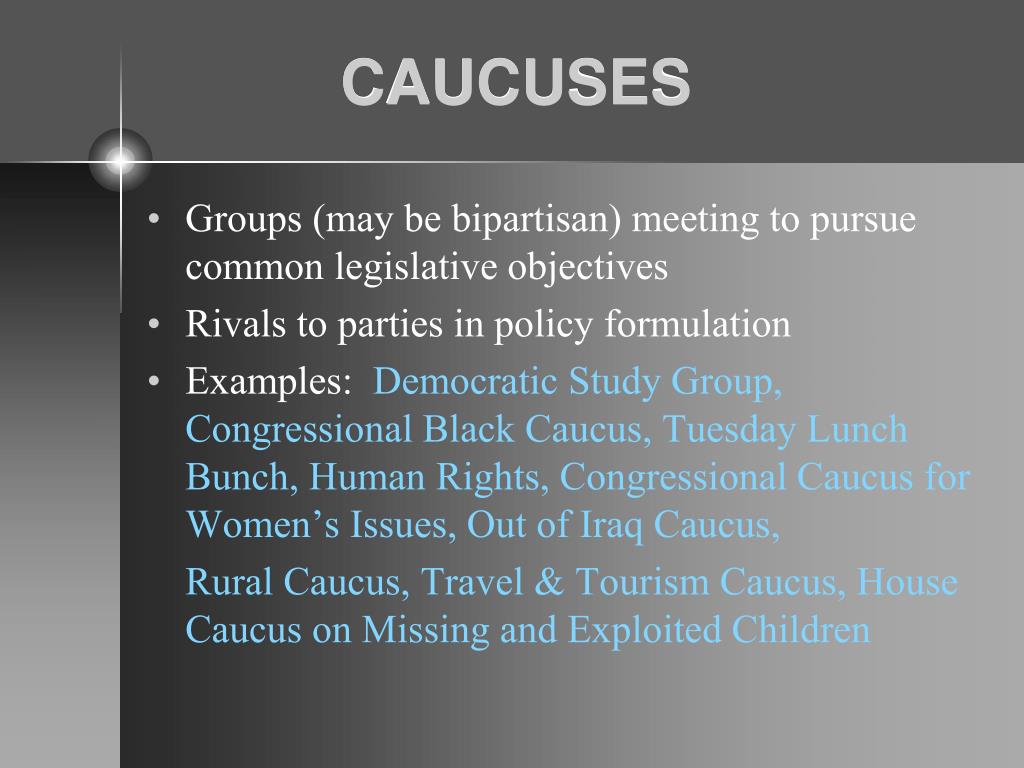 committee and caucus assignments meaning