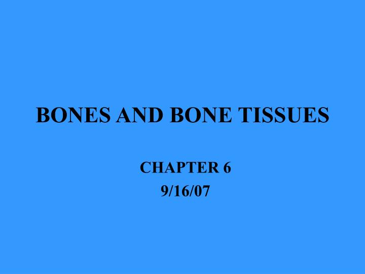 gallant bone and tissue lyrics