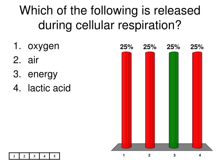 which of the following is released during cellular respiration