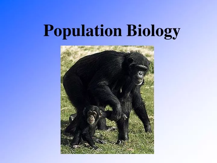 population biology n.
