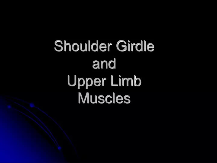 shoulder girdle and upper limb muscles n.