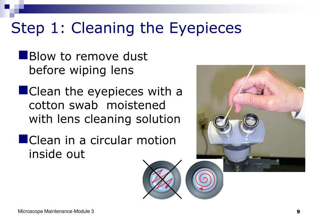 PPT Microscope Maintenance PowerPoint Presentation, free download