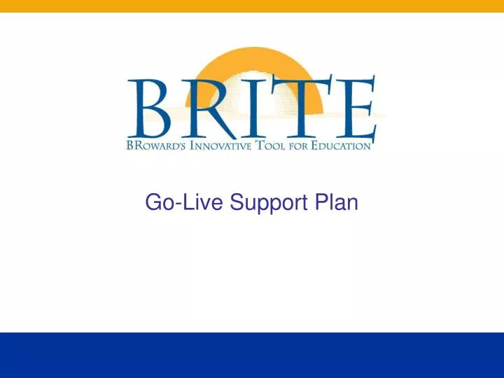 go live support plan n.