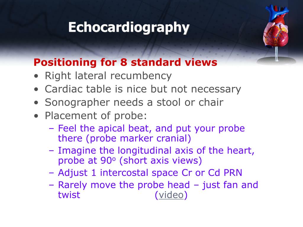 Ppt Basic Echocardiography Powerpoint Presentation Free Download