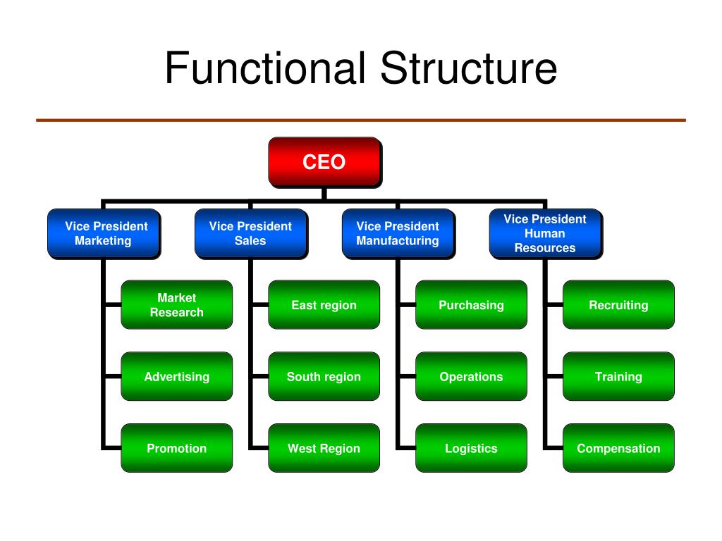 Functional Organizational Structure Diagram