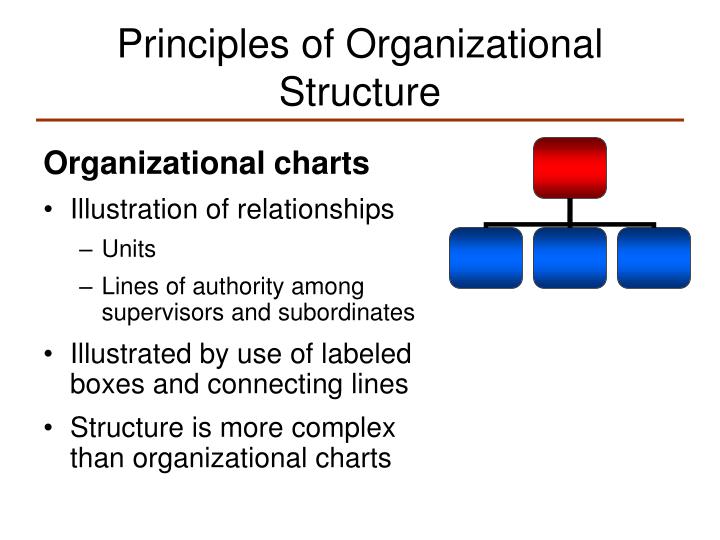 PPT - Principles of Organizational Structure PowerPoint Presentation, free  download - ID:425487