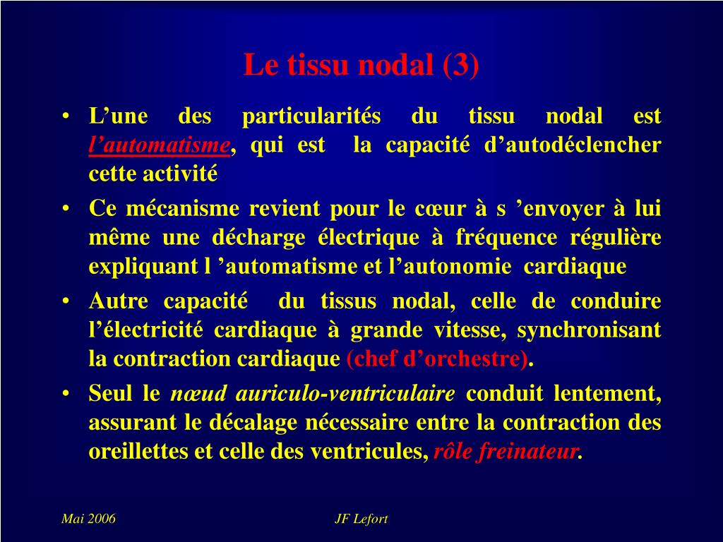 PPT - Le tissu nodal (1) PowerPoint Presentation, free download - ID:427455