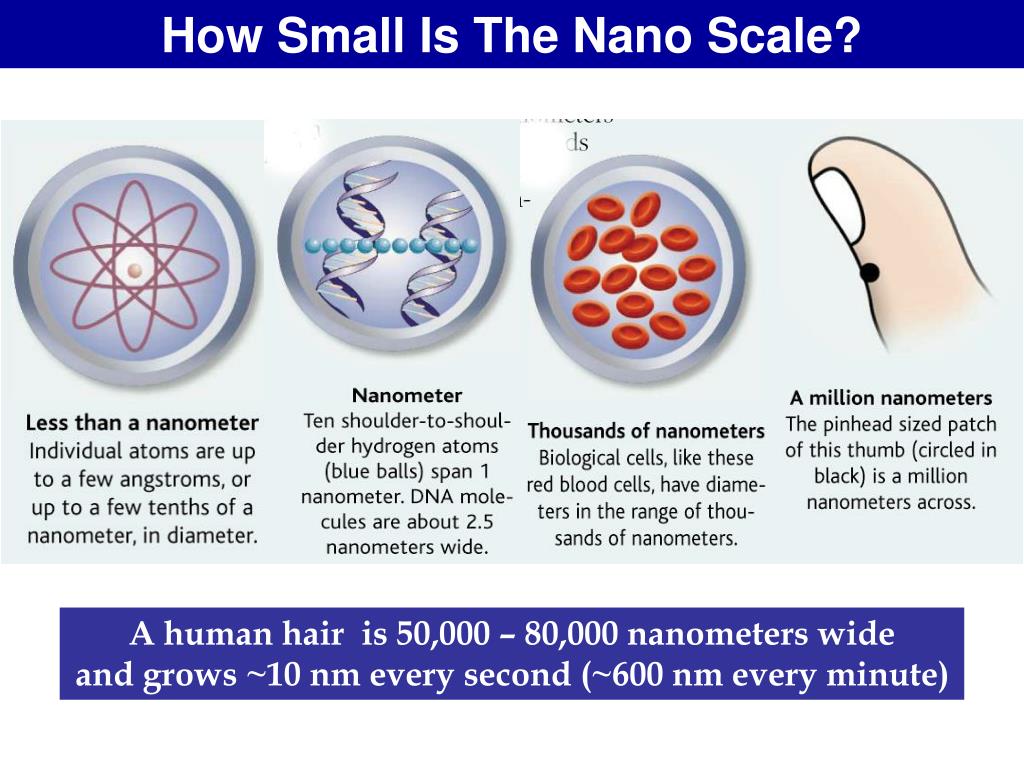 Nanotechnology: The Next Really Big Small Thing. What is Nanotechnology? -  ppt download