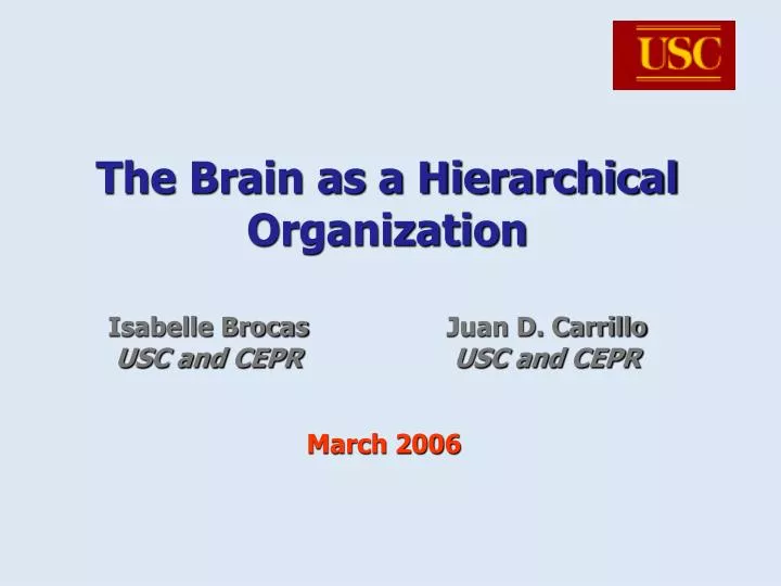 the brain as a hierarchical organization n.