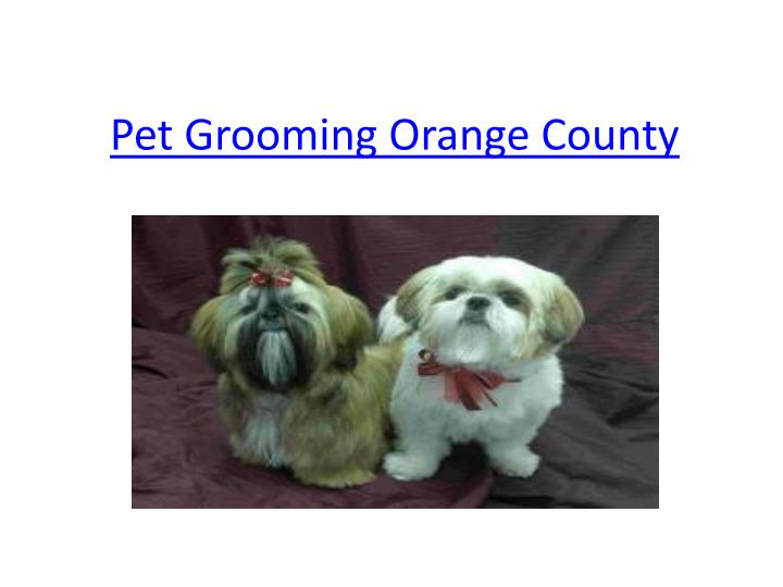 PPT Pet Grooming Orange County PowerPoint Presentation, free download