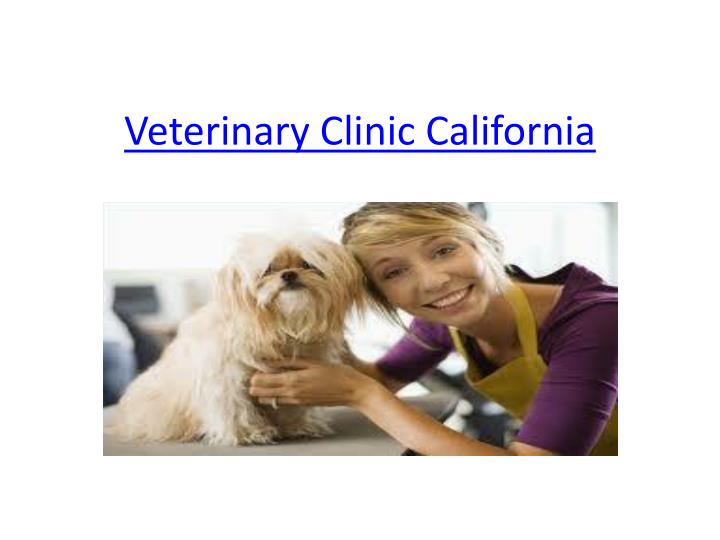 PPT - Veterinary Clinic California PowerPoint Presentation, free ...