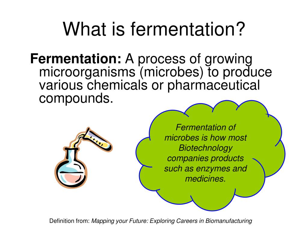 PPT - What Is Fermentation L