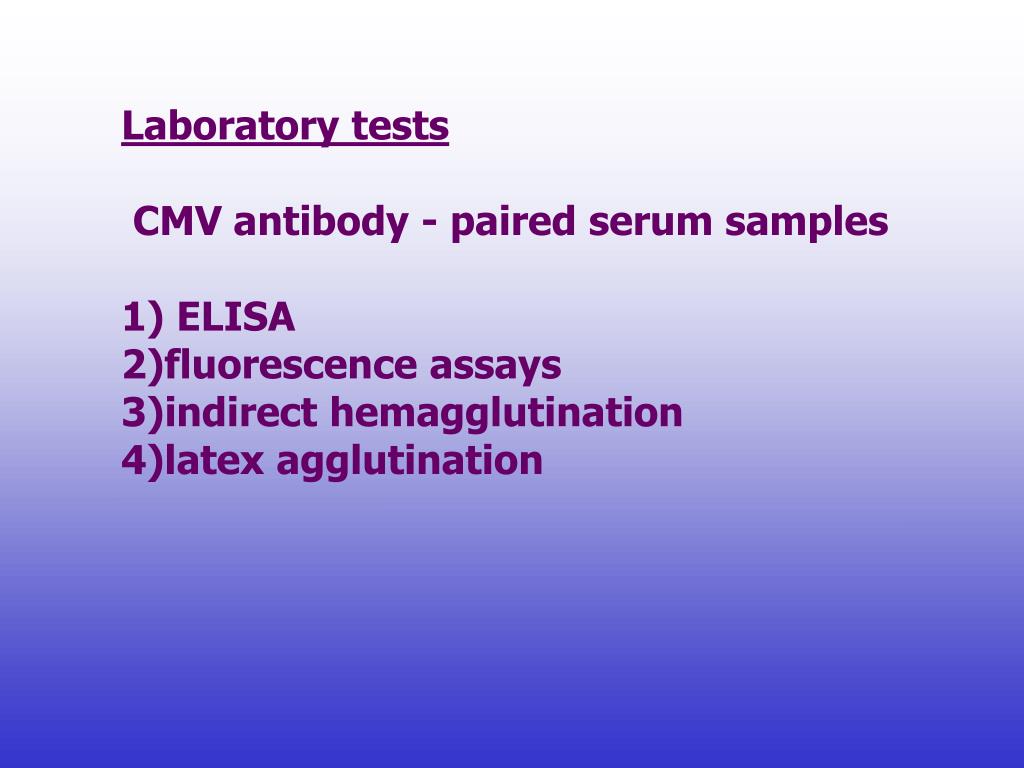 PPT - Cytomegalovirus DR.K.RAJA GHTM CHENNAI PowerPoint Presentation ...