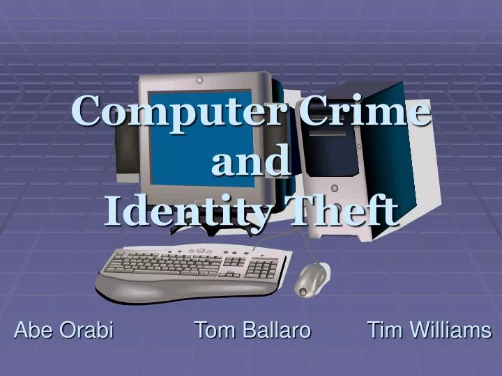 computer crime and identity theft n.