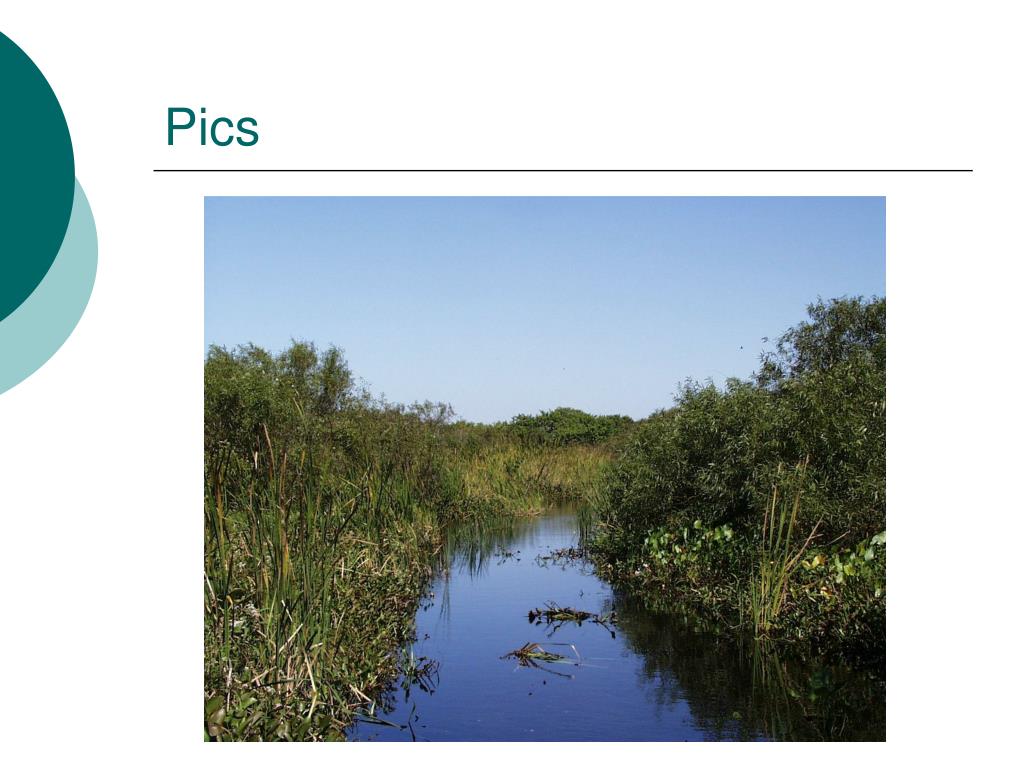 wetland delineation presentation wetlands data