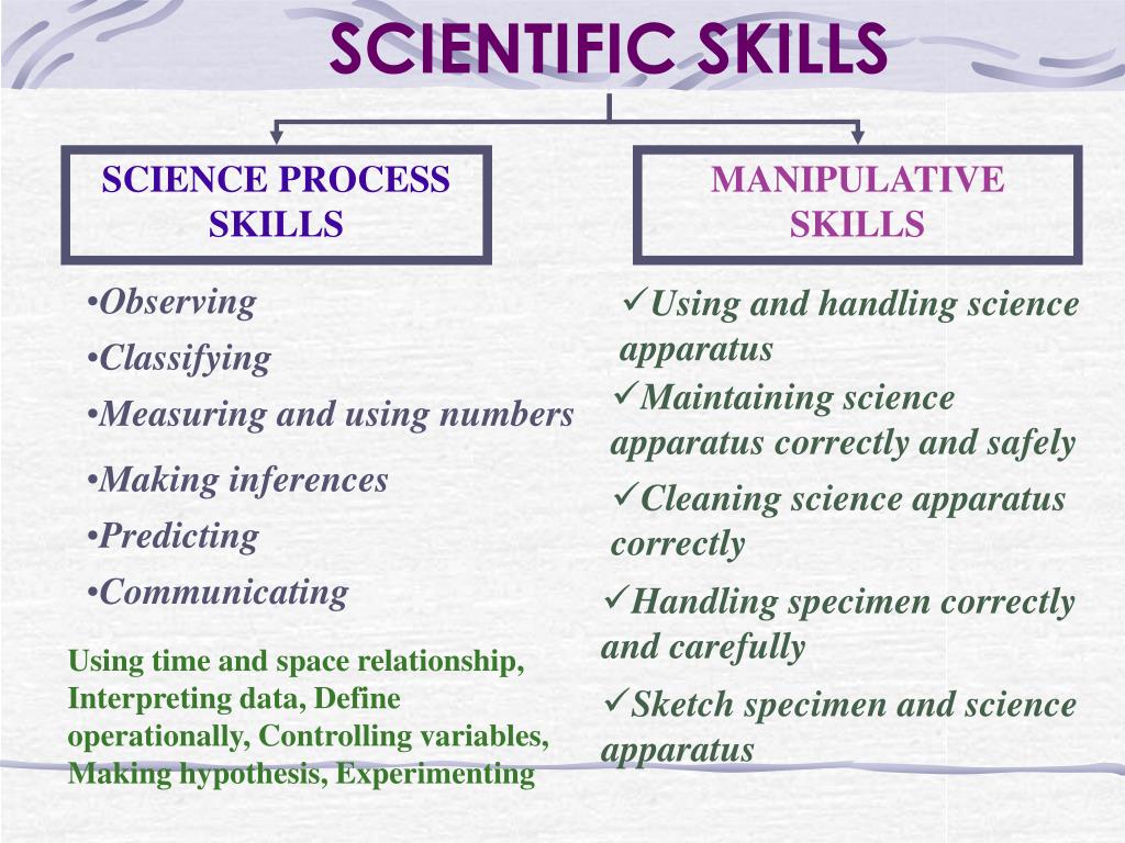 skills for a research scientist