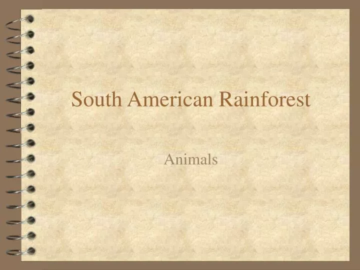 south american rainforest n.