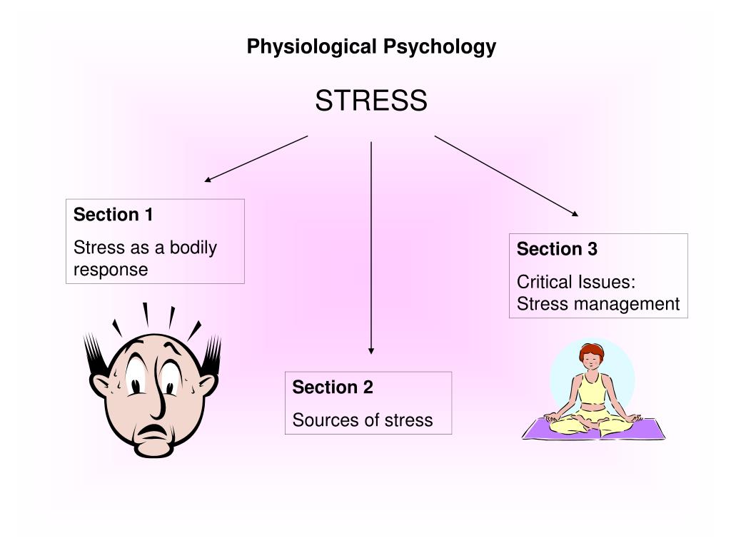 PPT PHYSIOLOGICAL PSYCHOLOGY PowerPoint Presentation Free Download ppt-physiological-psychology-powerpoint-presentation-free-download