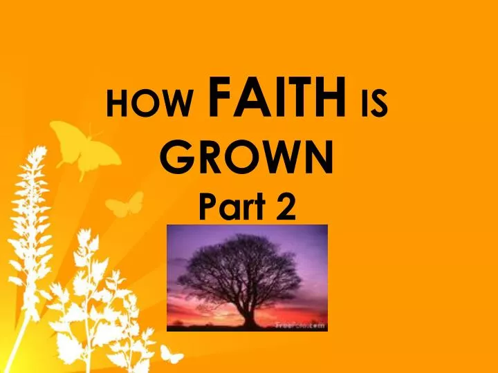 how faith is grown part 2 n.