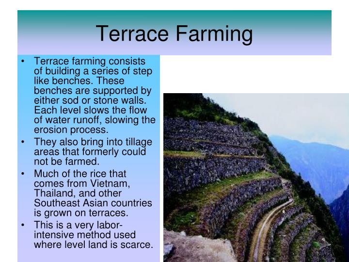 PPT Farming Techniques PowerPoint Presentation ID436527