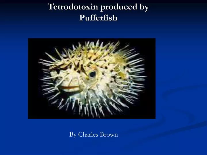 tetrodotoxin produced by pufferfish n.