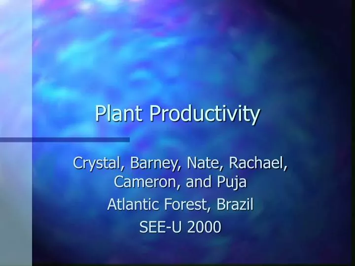 plant productivity n.