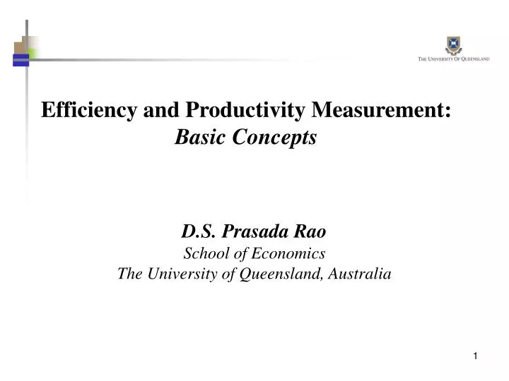 efficiency and productivity measurement basic concepts n.