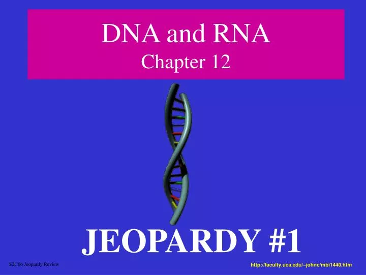 dna and rna chapter 12 n.