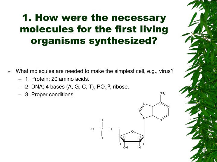 synthesised by living organisms Biomolecules are molecules that are synthesized by living organisms and contain _____ atoms. synthesised by living organisms Biomolecules are molecules that are synthesized by living organisms and contain _____ atoms.