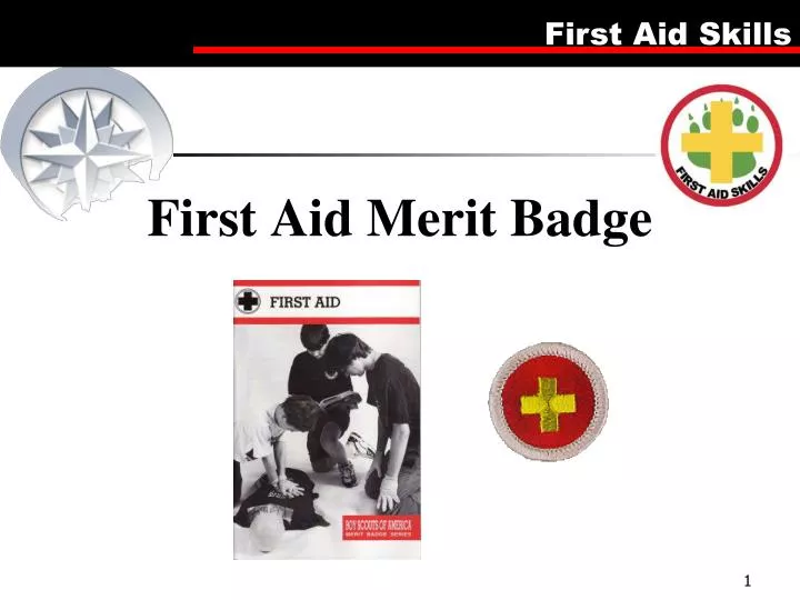 first aid merit badge n.