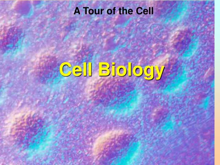 cell biology n.