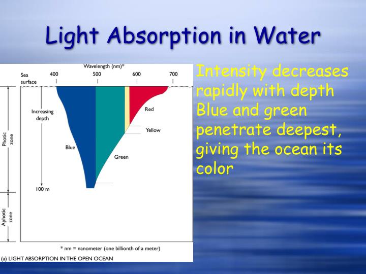 Message, Color of light that penetrates seawater join Think, Color of light that penetrates seawater apologise
